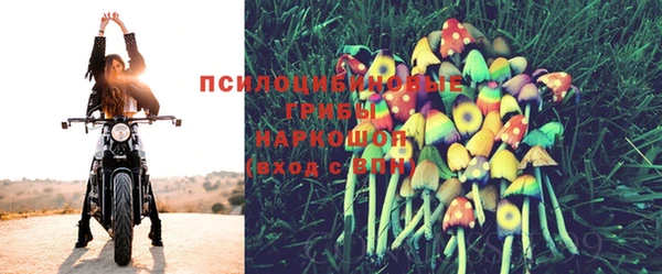СК Абинск
