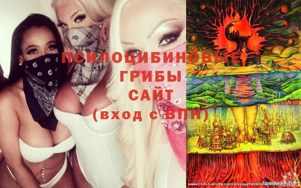 винт Абаза