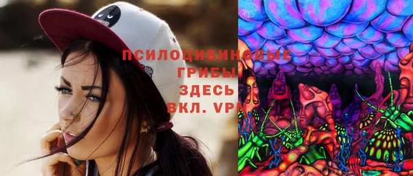 СК Абинск