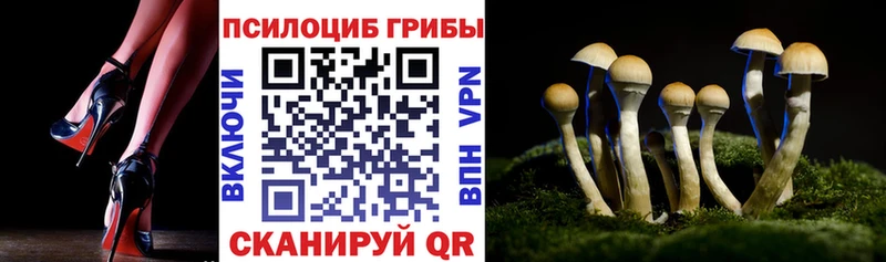 где можно купить наркотик Опочка Галлюциногенные грибы прущие грибы