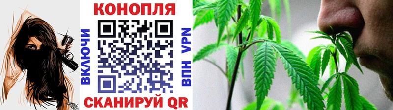 Каннабис MAZAR  Опочка 
